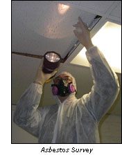 Asbestos Survey